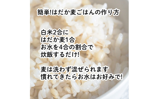 はだか麦 900g 5個セット