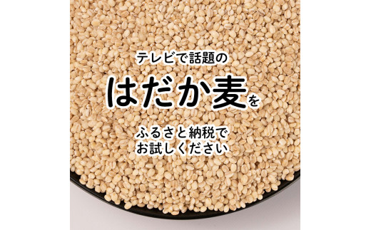 はだか麦 900g 5個セット