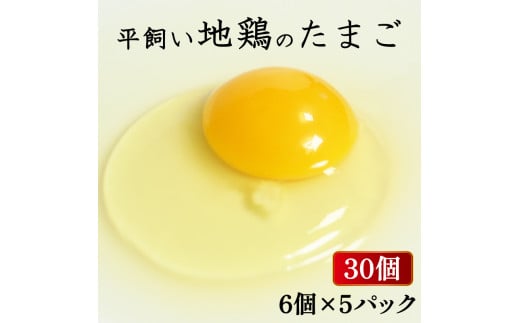 平飼い地鶏のたまご 30個 6個入×5パック たまご 卵 玉子 生卵 鶏卵 平飼い 岡崎おうはん 地鶏 鳥 鶏 愛知 なごや 岡崎 愛媛 愛南町 ケーキ お菓子 おかず ブランド 希少 送料無料 ローカルスタンダード