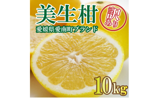 先行予約 訳あり 美生柑 みしょうかん 約10kg 河内晩柑 不揃い 大小ミックス 傷あり ばんかん フルーツ 果物 くだもの 文旦 晩生柑 厳選 愛媛 みかん 蜜柑 愛南 ご当地 ブランド 【お届け期間:2024年3月1日～5月下旬】  (なくなり次第終了)