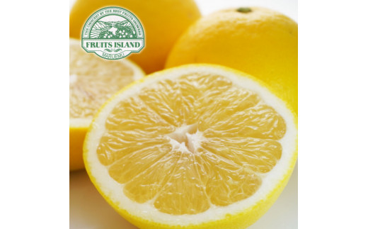 å
è¡äºçŽ èš³ãã çŸçæ ã¿ããããã çŽ10kg æ²³å
æ©æ äžæã 倧å°ããã¯ã¹ å·ãã ã°ããã ãã«ãŒã æç© ãã ãã® ææŠ æ©çæ å³éž æåª ã¿ãã èæ æå ãåœå° ãã©ã³ã