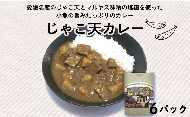 じゃこ天カレー 6パック (1パック 200g) マルヤス味噌 愛媛県 愛南町