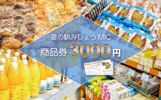 商品券 3000円分 道の駅 お買い物券 柑橘類 みかん 魚貝類 鰹 かつお 野菜 さつまいも 果物 くだもの フルーツ お菓子 スイーツ お土産 みしょうMIC 愛媛県 愛南町