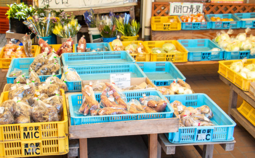 商品券 3000円分 道の駅 お買い物券 柑橘類 みかん 魚貝類 鰹 かつお 野菜 さつまいも 果物 くだもの フルーツ お菓子 スイーツ お土産 みしょうMIC 愛媛県 愛南町