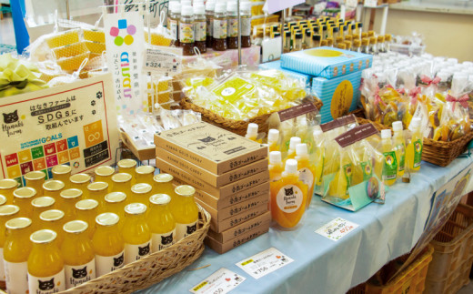 商品券 5000円分 道の駅 お買い物券 柑橘類 みかん 魚貝類 鰹 かつお 野菜 さつまいも 果物 くだもの フルーツ お菓子 スイーツ お土産 みしょうMIC 愛媛県 愛南町