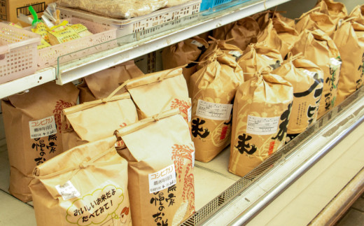 商品券 5000円分 道の駅 お買い物券 柑橘類 みかん 魚貝類 鰹 かつお 野菜 さつまいも 果物 くだもの フルーツ お菓子 スイーツ お土産 みしょうMIC 愛媛県 愛南町