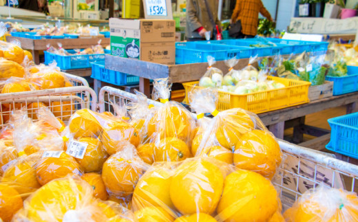 商品券 5000円分 道の駅 お買い物券 柑橘類 みかん 魚貝類 鰹 かつお 野菜 さつまいも 果物 くだもの フルーツ お菓子 スイーツ お土産 みしょうMIC 愛媛県 愛南町