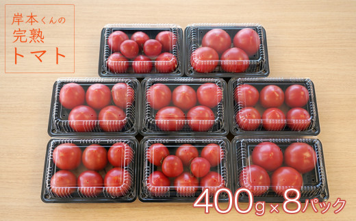 岸本くんの完熟トマト 約3.2kg ( 400g×８パック )  野菜 産地 直送 人気 国産 愛媛県 愛南町 発送期間：2026年2月1日～6月20日	