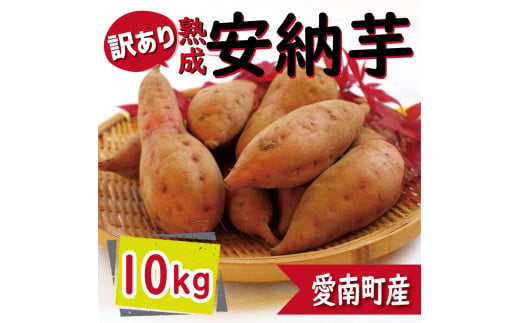 1日分の野菜 200ml × 48本 セット 飲料 野菜ジュース 小分け パック