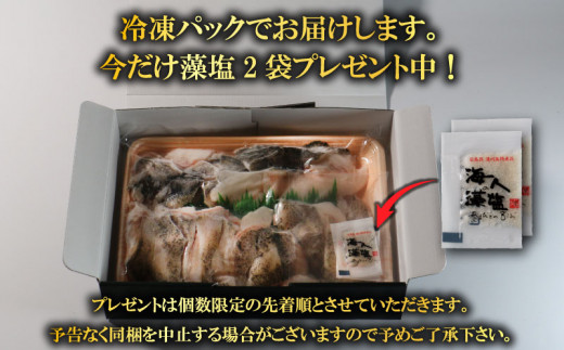 クエ 鍋セット 1kg タマクエ 切り身 ＋ アラ 合計 4～6人前(500g×2) 冷凍 クエ 高級 幻 新種 鍋 アラ鍋 海鮮 刺身 生食 脂 プレミアム 新鮮 白身魚 淡泊 蒸し料理 グリル 規格外 九絵 レモン ギフト 贈り物 プレゼント 愛南サン・フィッシュ