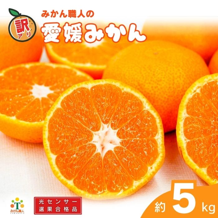 訳あり 愛媛みかん 約5kg 【発送期間：9月中旬～1月中旬】光センサー選果 柑橘 果物 国産 フルーツ 蜜柑 大小 ミックス 不揃い 傷 温州 ビタミン 美味しい みかん職人武田屋 愛媛県 愛南町