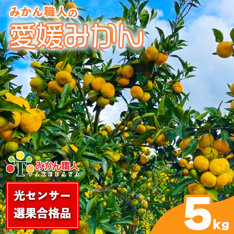 訳あり 愛媛みかん 5kg 【発送期間：9月中旬～1月中旬】光センサー選果 柑橘 果物 国産 フルーツ 蜜柑 大小 ミックス 不揃い 傷 温州 ビタミン 美味しい みかん職人武田屋 愛媛県 愛南町
