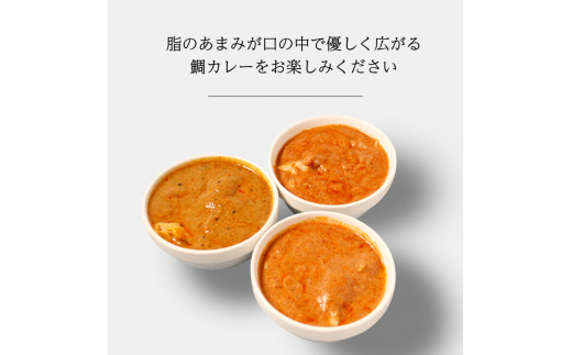 愛南産 真鯛 カレー 中辛 3パック