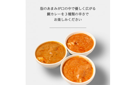 愛南産 真鯛 カレー 3種 3パック
