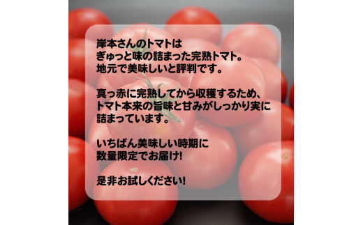 岸本くんの完熟トマト 大玉 4kg 発送期間：12月10日～2月28日	