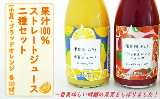 【 先行予約 】 みかん 果汁 100% ストレート ジュース 720ml 2種 セット 小夏 ブラッドオレンジ 数量限定 期間限定 高級 贈答 ギフト プレゼント  先行 事前 予約 12000円 母の日 愛南 愛媛 国産 フルーツ 果物 柑橘 産地直送 農家直送 特産品 完熟 濃厚 人気 限定 甘い ジューシー 新鮮 果実 さわやか 果樹園みどり