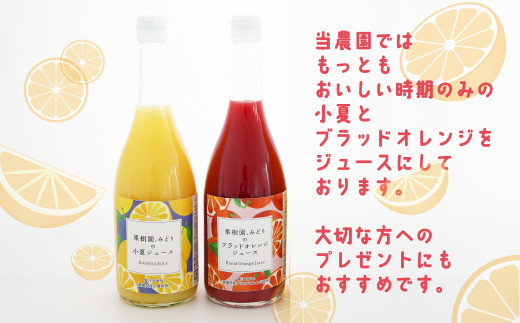 【 先行予約 】 みかん 果汁 100% ストレート ジュース 720ml 2種 セット 小夏 ブラッドオレンジ 数量限定 期間限定 高級 贈答 ギフト プレゼント  先行 事前 予約 12000円 母の日 愛南 愛媛 国産 フルーツ 果物 柑橘 産地直送 農家直送 特産品 完熟 濃厚 人気 限定 甘い ジューシー 新鮮 果実 さわやか 果樹園みどり