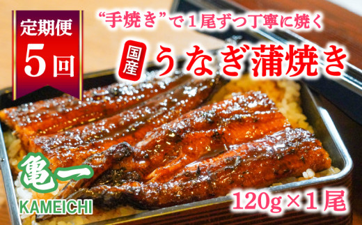 定期便 5回 うなぎ 蒲焼 約120g 1本 鰻 老舗 亀一 手焼き タレ セット