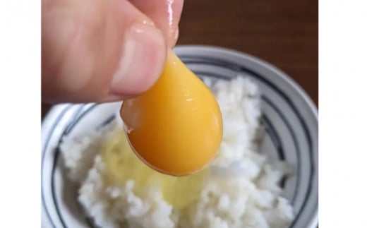 定期便 全6回 平飼い地鶏のたまご 48個×6ヶ月 合計288個 毎月48個 たまご 卵 玉子 生卵 鶏卵 平飼い 岡崎おうはん 地鶏 鳥 鶏 愛知 なごや 岡崎 愛媛 愛南町 ケーキ お菓子 おかず ブランド 希少 送料無料 ローカルスタンダード