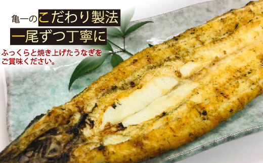 定期便 4回 うなぎ 白焼 約120g 2本 老舗 亀一 手焼き 鰻 タレ セット