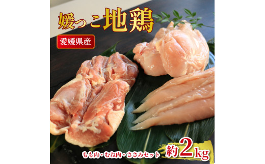 地鶏 愛媛 媛っこ地鶏 もも むね ささみセット 約2kg 鶏肉 鳥肉 肉 チキン むね肉 もも肉  焼肉 焼き鳥  BBQ 冷凍 国産 高級 タンパク質 低脂肪 糖質 唐揚げ チキン南蛮 サラダチキン スープ 出汁 ダイエット 愛南町 送料無料 ローカルスタンダード