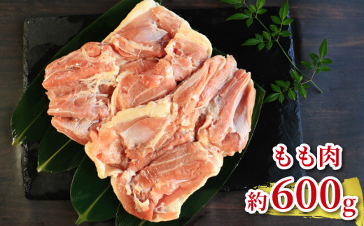 地鶏 愛媛 媛っこ地鶏 もも むね ささみセット 約2kg 鶏肉 鳥肉 肉 チキン むね肉 もも肉  焼肉 焼き鳥  BBQ 冷凍 国産 高級 タンパク質 低脂肪 糖質 唐揚げ チキン南蛮 サラダチキン スープ 出汁 ダイエット 愛南町 送料無料 ローカルスタンダード