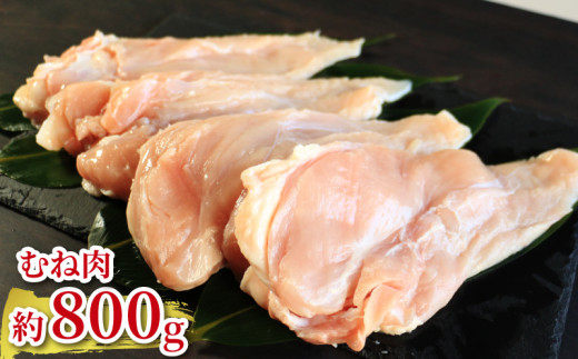 地鶏 愛媛 媛っこ地鶏 もも むね ささみセット 約2kg 鶏肉 鳥肉 肉 チキン むね肉 もも肉  焼肉 焼き鳥  BBQ 冷凍 国産 高級 タンパク質 低脂肪 糖質 唐揚げ チキン南蛮 サラダチキン スープ 出汁 ダイエット 愛南町 送料無料 ローカルスタンダード