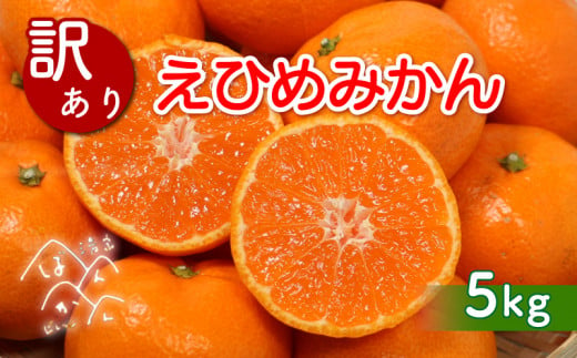 先行予約 【訳あり】清家ばんかんビレッジの愛媛みかん 5kg 発送期間：11月上旬～1月下旬