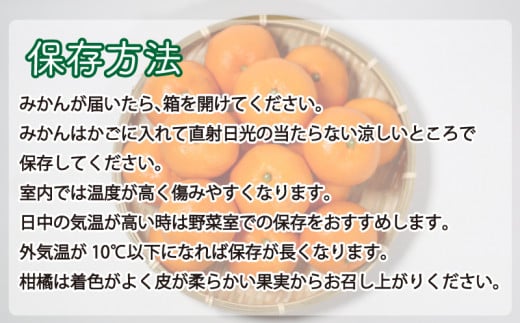 先行予約 【訳あり】清家ばんかんビレッジの愛媛みかん 5kg 発送期間：11月上旬～1月下旬