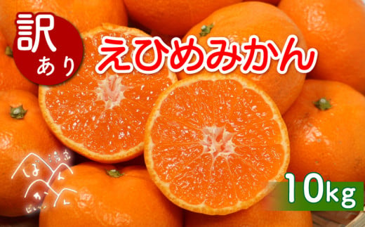 先行予約 訳あり 清家ばんかんビレッジの 愛媛みかん 10kg 発送期間：11月上旬～1月下旬