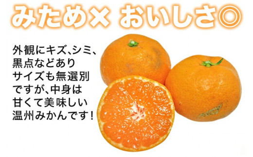 先行予約 訳あり 清家ばんかんビレッジの 愛媛みかん 10kg 発送期間：11月上旬～1月下旬