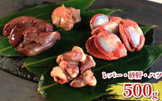 地鶏 愛媛 媛っこ地鶏 1羽セット 約2.5kg 鶏肉 鳥肉 肉 チキン むね肉 もも肉 ささみ レバー せせり ハツ 砂肝 焼肉 焼き鳥  BBQ 冷凍 国産 高級 タンパク質 低脂肪 糖質 唐揚げ チキン南蛮 サラダチキン スープ 出汁 モツ煮 ダイエット 愛南町 送料無料 ローカルスタンダード