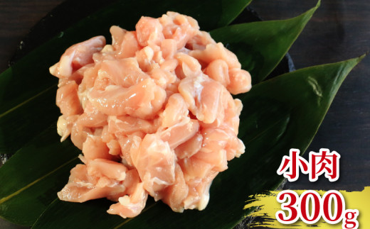 地鶏 愛媛 媛っこ地鶏 1羽セット 約2.5kg 鶏肉 鳥肉 肉 チキン むね肉 もも肉 ささみ レバー せせり ハツ 砂肝 焼肉 焼き鳥  BBQ 冷凍 国産 高級 タンパク質 低脂肪 糖質 唐揚げ チキン南蛮 サラダチキン スープ 出汁 モツ煮 ダイエット 愛南町 送料無料 ローカルスタンダード