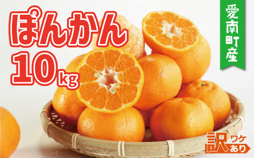 訳あり 家庭用 ぽんかん 10kg サイズ混合 12000円 みかん ポンカン ミカン mikan 国産 期間限定 数量限定 特産品 ジュース 人気 限定 愛南  新鮮 果実 さわやか 風味 甘い フルーツ 果物 柑橘 蜜柑 糖度 産地直送 農家直送 サイズミックス 果樹園 ミッチーのおみかん畑 愛南町 愛媛県 