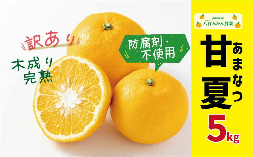 ã å
è¡äºçŽ ã èš³ãã å®ç çå€ 5kg <çºéæéïŒ2027幎3æäžæ¬ïœç¡ããªã次第çµäº> å
«çŸã¿ãã蟲å ã® å®ç çå€ 7000å å®¶åºçš èš³ãã å
è¡ äºå äºçŽ åä» ã¿ãã ããŸãªã€ å€ã¿ãã ã°ã¬ãŒããã«ãŒã ããŒãã¬ãŒã ãŒãªãŒ é²è
å€äžäœ¿çš æåª ç£å°çŽé åœç£ 蟲家çŽé ç³åºŠ ææš¹å æééå® æ°ééå® ç¹ç£å ãžã¥ãŒã¹ äººæ° éå® æå ãããã çã ãã«ãŒã æç© ææ© èæ