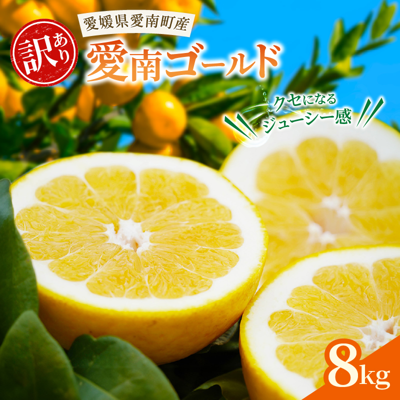訳あり 愛南ゴールド ( 河内晩柑 )  8kg みかん 蜜柑 河内晩柑 和製 グレープフルーツ 傷 不揃い 規格外 常温 愛媛県 愛南町青果市場 発送: 4月上旬～なくなり次第終了