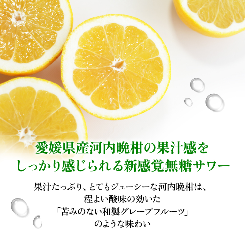 大人のCRAFT無糖サワー 河内晩柑 350ml×24本 父の日 チューハイ 柑橘 酒 アルコール 無糖  酎ハイ クラフトサワー 河内晩柑 果実 フルーツ  愛南ゴールド アシード アスター 缶 愛媛県 愛南町 Yショップ西海