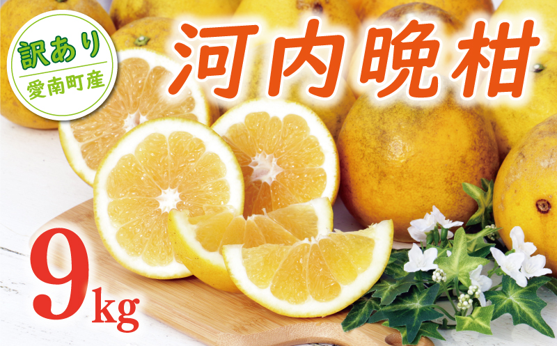 数量限定 先行予約 訳あり 河内晩柑 樹齢 20年以上 9kg （ Lサイズ 以上 ） 9000円 みかん mikan 蜜柑 ミカン わけあり かわちばんかん 愛南ゴールド あいなん ゴールド 文旦 派生 和製 グレープフルーツ 家庭用 産地直送 国産 農家直送 期間限定 特産品 ゼリー ジュース 人気 限定 甘い フルーツ 果物 柑橘 蜜柑 規格外 くらもとファーム 愛南町 愛媛県