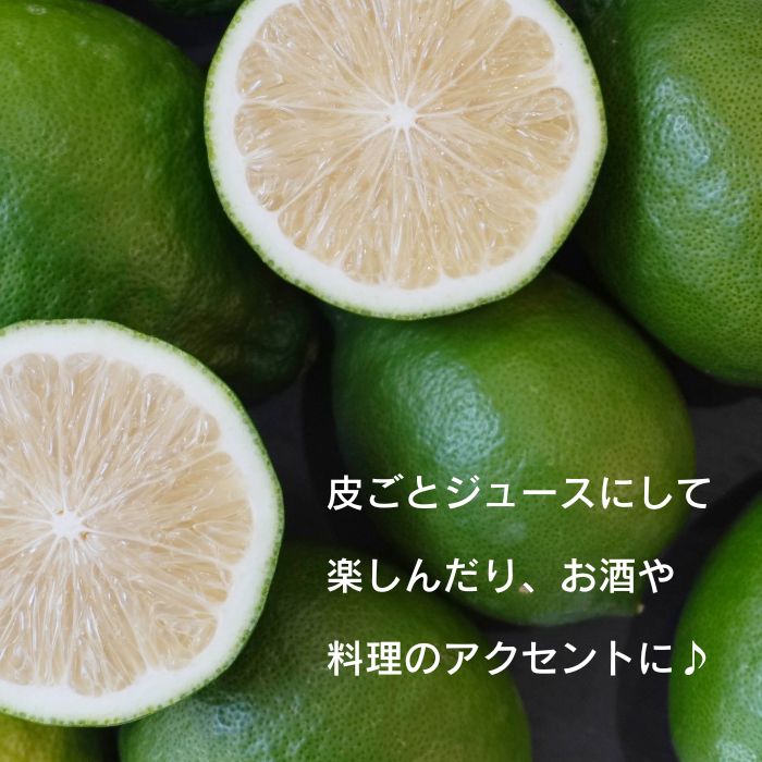 訳あり レモン （ グリーンレモン ） 1kg りのか 【発送期間:8月中旬～】 レモン 減農薬 柑橘 檸檬 くだもの 果実 国産 愛媛 みかん職人武田屋 ブランド 愛媛県産 産直 無添加