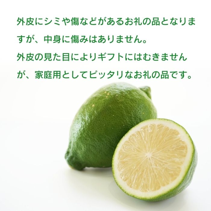 訳あり レモン （ グリーンレモン ） 3kg りのか 【発送期間:8月中旬～11月中旬】 レモン 減農薬 柑橘 檸檬 くだもの 果実 国産 愛媛 みかん職人武田屋 ブランド 愛媛県産 産直 無添加