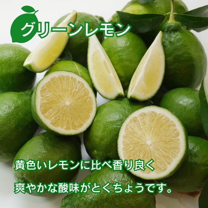 訳あり レモン （ グリーンレモン ） 3kg りのか 【発送期間:8月中旬～11月中旬】 レモン 減農薬 柑橘 檸檬 くだもの 果実 国産 愛媛 みかん職人武田屋 ブランド 愛媛県産 産直 無添加