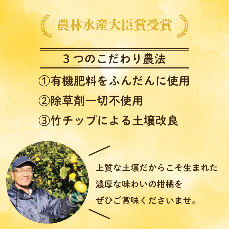 【訳あり】河内晩柑 8kg  (発送8/1～なくなり次第終了) 樹齢25年以上 愛南ゴールド