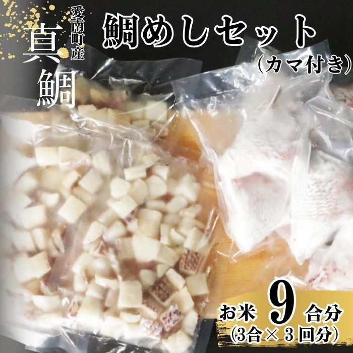 鯛めしセット （180ｇ×３パック） カマ付き まだい 鯛 冷凍 ダイスカット サイコロ コロコロ 角切り 鯛めし 釜めし 炊き込みご飯 10000円  おかず 惣菜 つまみ 入れるだけ 国産 魚介 特産品 魚介類 海産物 鮮魚 養殖 産地直送 海鮮 ブランド 簡単 お正月 お祝い 年末 年始 クリスマス パーティ お食い初め パック 愛南町 愛媛県 愛南サン・フィッシュ