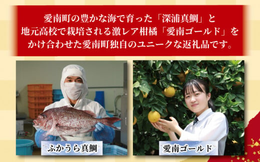 訳あり かつおのたたき 1kg と 愛南ゴールド 真鯛 200g お試し セット 10000円 サイズ 不揃い 規格外 カツオたたき 鰹たたき カツオ タタキ 肉 厚 養殖 タイ みかん 河内晩柑 柑橘 藻塩 刺身 刺し身 さしみ しゃぶしゃぶ 鯛しゃぶ 塩焼 少量 冷凍 旬 お手軽 海鮮 魚介 父の日 傷 小分け 真空 パック 新鮮 鮮魚 天然 鰹 四国一 一本釣 人気 ハマスイ 愛南町 愛媛県