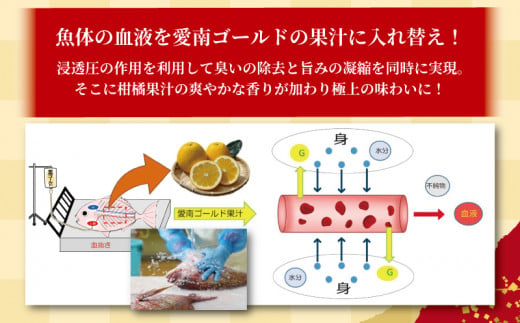 訳あり かつおのたたき 1kg と 愛南ゴールド 真鯛 200g お試し セット 10000円 サイズ 不揃い 規格外 カツオたたき 鰹たたき カツオ タタキ 肉 厚 養殖 タイ みかん 河内晩柑 柑橘 藻塩 刺身 刺し身 さしみ しゃぶしゃぶ 鯛しゃぶ 塩焼 少量 冷凍 旬 お手軽 海鮮 魚介 父の日 傷 小分け 真空 パック 新鮮 鮮魚 天然 鰹 四国一 一本釣 人気 ハマスイ 愛南町 愛媛県