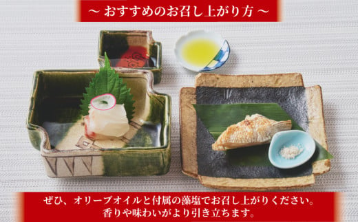 訳あり かつおのたたき 1kg と 愛南ゴールド 真鯛 200g お試し セット 10000円 サイズ 不揃い 規格外 カツオたたき 鰹たたき カツオ タタキ 肉 厚 養殖 タイ みかん 河内晩柑 柑橘 藻塩 刺身 刺し身 さしみ しゃぶしゃぶ 鯛しゃぶ 塩焼 少量 冷凍 旬 お手軽 海鮮 魚介 父の日 傷 小分け 真空 パック 新鮮 鮮魚 天然 鰹 四国一 一本釣 人気 ハマスイ 愛南町 愛媛県