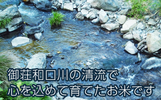 先行予約 新米 令和7年産 にじのきらめき 5kg 9000円 お米 白米 精米 米 こめ 産地直送 国産 農家直送 期間限定 数量限定 特産品 令和7年度産 2025年産 新品種 大粒 もっちり 粘り 甘み おいしい おにぎり 人気 コシヒカリ に負けない 内祝い お祝い 贈答品 お返し プレゼント 土産 御礼 お礼 お取り寄せ 愛南町 愛媛県