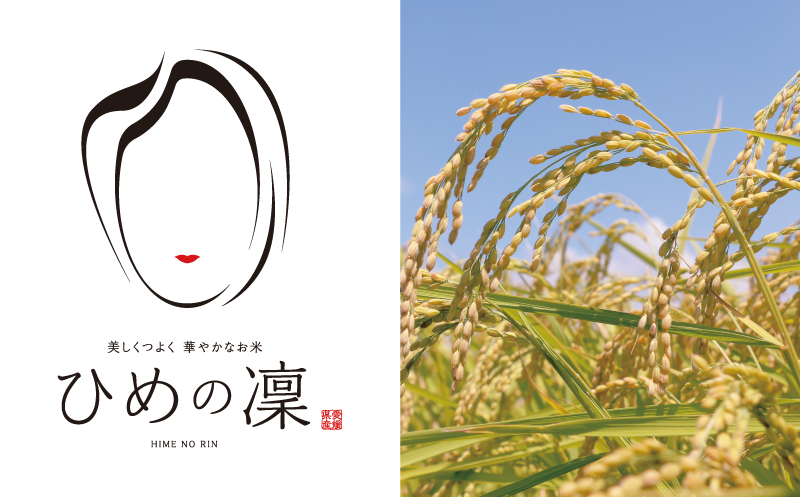 å
è¡äºçŽ æ°ç±³ 什å7å¹Žç£ ã²ãã®å 10kg 27000å ãç±³ çœç±³ 粟米 ç±³ ãã ç£å°çŽé åœç£ 蟲家çŽé æééå® æ°ééå® ç¹ç£å å
è¡ äºå åä» ä»€å7å¹ŽåºŠç£ 2025å¹Žç£ æ°åçš® äººæ° ãã©ã³ã å€§ç² ãã£ã¡ã çã¿ ãã¬ãã¢ã ã¯ãªãªã㣠å·ããŠã ãããã ãã«ãã ã³ã·ãã«ãª ã«è² ããªã éŠã å
ç¥ã ãç¥ã èŽçå ãã¬ãŒã³ã åç£ åŸ¡ç€Œ ã瀌 ãåãå¯ã æåçº æåªç