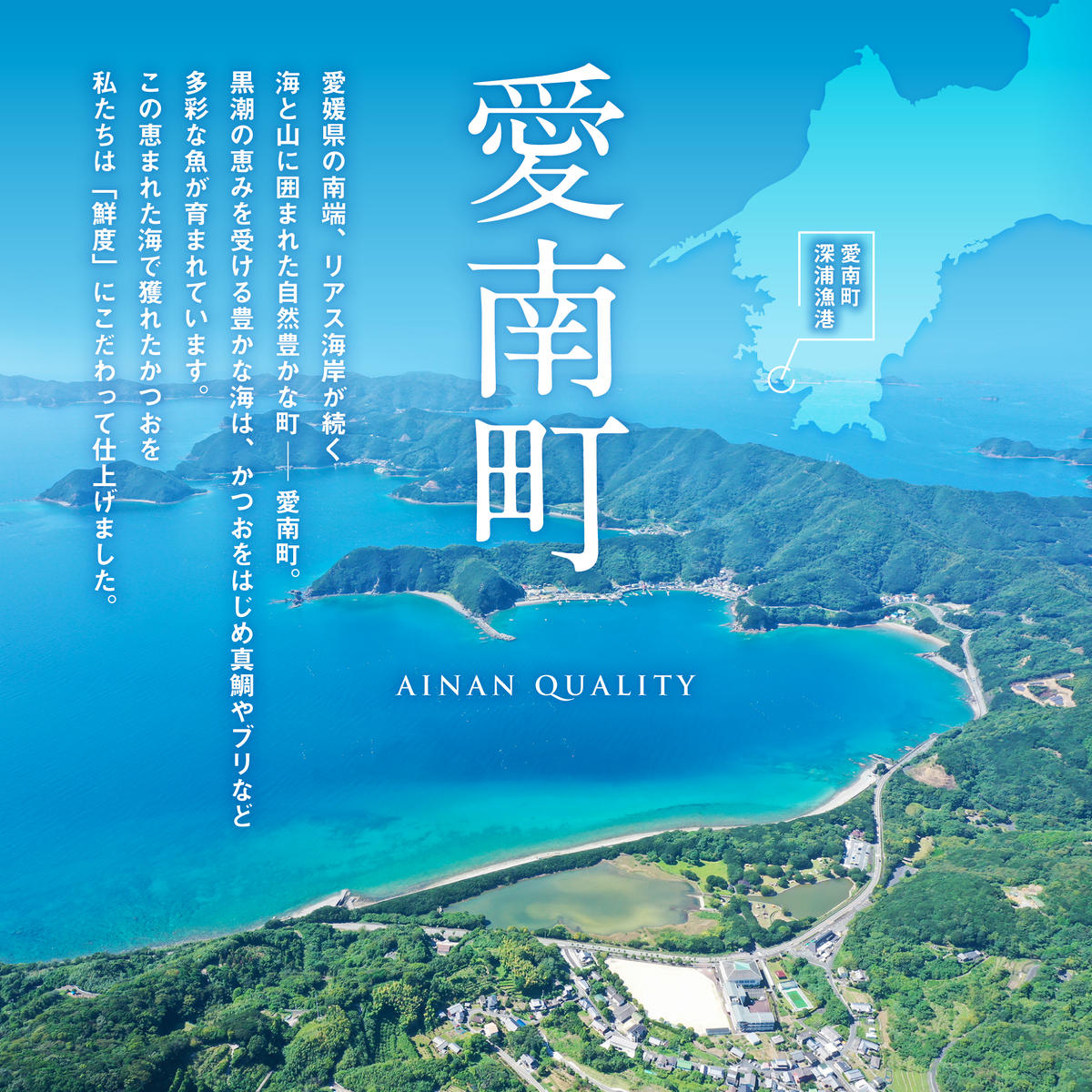 訳あり かつおのたたき 1kg 愛南ゴールド 真鯛 200g お試し セット 10000円 サイズ 不揃い 規格外 カツオたたき 鰹たたき カツオ タタキ 肉 厚 養殖 タイ みかん 河内晩柑 柑橘 塩 オリーブオイル ソース 刺身 刺し身 さしみ しゃぶしゃぶ 鯛しゃぶ 塩焼 少量 冷凍 旬 お手軽 海鮮 魚介 父の日 傷 小分け 真空 パック 新鮮 鮮魚 天然 鰹 四国一 一本釣 人気 ハマスイ 愛南町 愛媛県