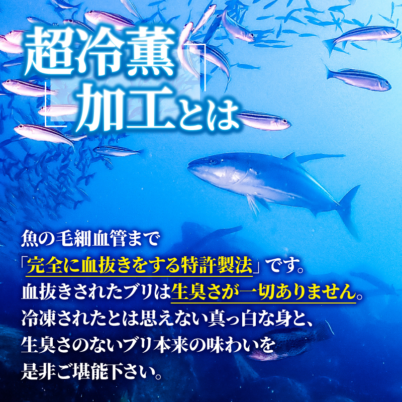 ぶり スライス 冷凍 合計 500g （ 10g × 10スライス × 5パック ） 10000円 鰤 しゃぶしゃぶ ぶりしゃぶ 鰤しゃぶ 鍋 刺身 刺し身 さしみ カルパッチョ ぶり丼 海鮮丼 海鮮鍋 寿司 鮮魚 魚介類 海産物 ブランド 魚 養殖 小分け 簡単 国産 真空 パック セット 特許 超冷薫 愛媛県 愛南町 あいなん オンスイ